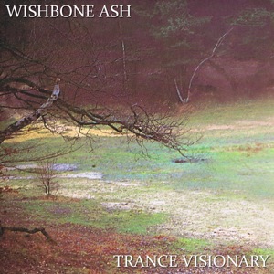 Trance Visionary 