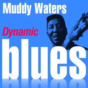 Dynamic Blues - Muddy Waters - (50 Essential Tracks) 